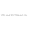 ARQ E GULAB SPRAY 120ML(MARHABA)