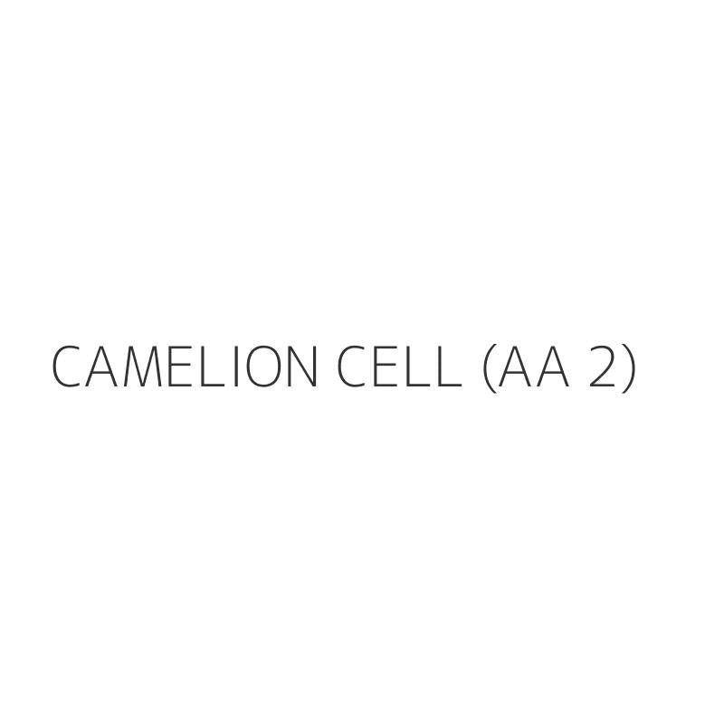 CAMELION CELL (AA 2)