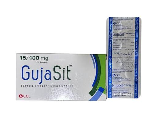 GUJASIT 15/100MG TAB