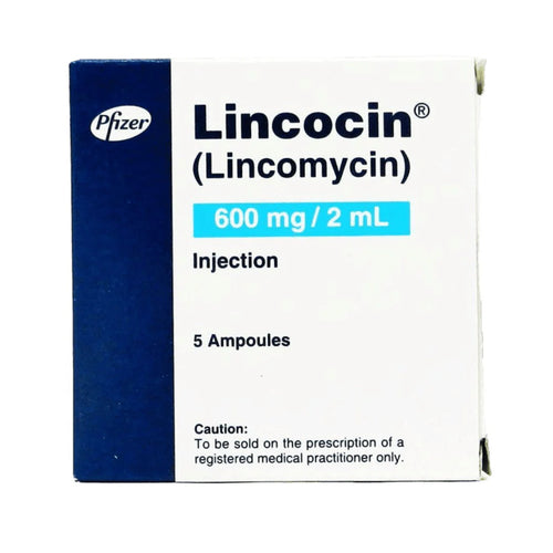 LINCOCIN 600MG INJ