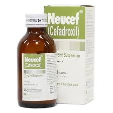 NEUCEF 125MG SYP 60ML