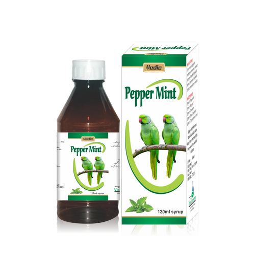 PEPPERMINT 120ML SYP(FAMMOUS)