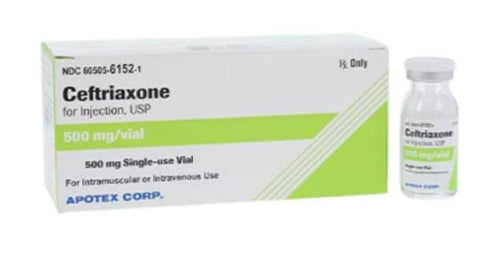 ROCEPHIN 500MG IM INJ
